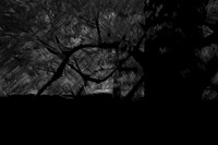 2013-09-22-412