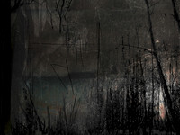 291116-3-7