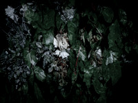 memorial-1