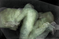 280314 #245-5-2
