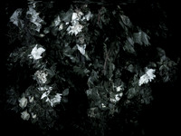 memorial-10