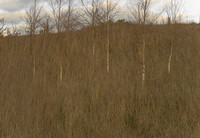 090114-276