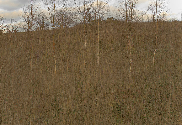 090114-276