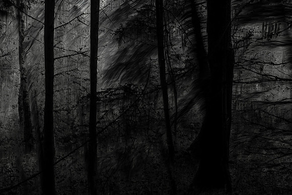 trees 25 #448