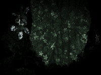 memorial-5