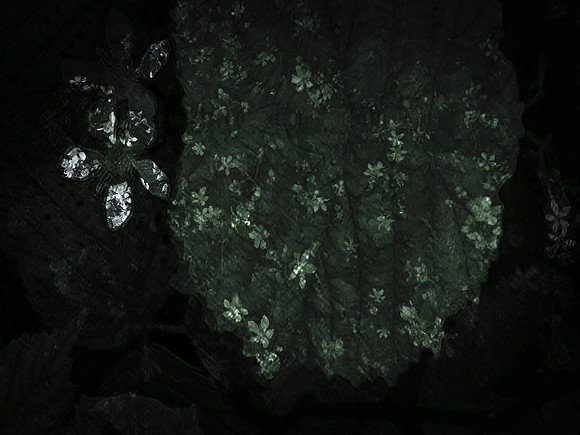 memorial-5