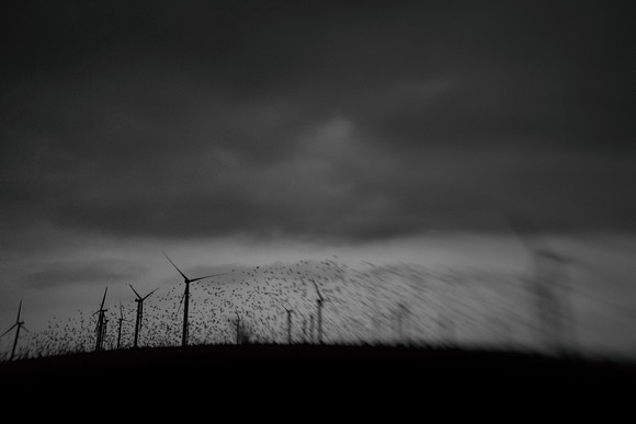 07-11-08 048-2-10