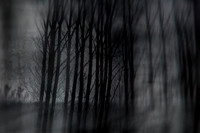 291114 #311-3-2