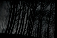 291114 #311-2-3