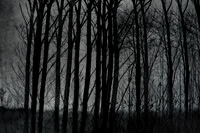 291114 #311-3-3