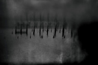 12 july 2010-17