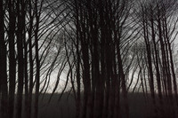 060916-2-5
