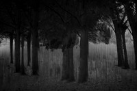 2013-09-30v2-383