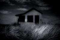 Grass
