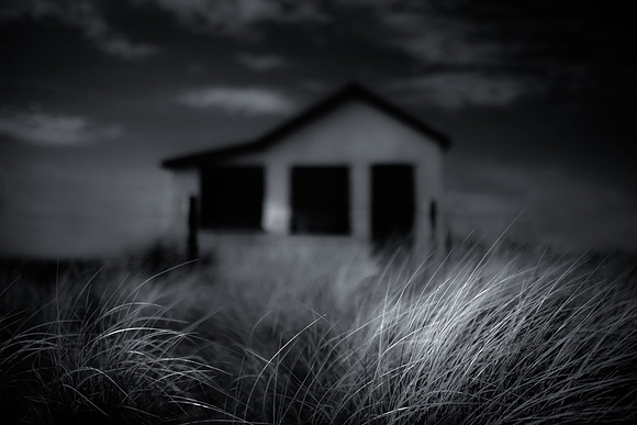 Grass