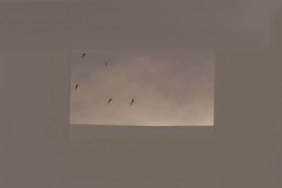 100315#103-2-2