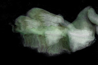 250314 #140-9-4