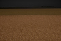 170714-41