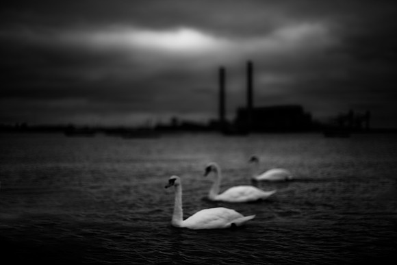 gravesend 5