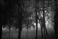 2013-09-30v2-140