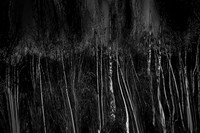 2012-12-27-26-3