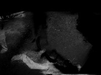 210916-1-6