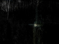 291116-5-5