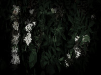 memorial-7