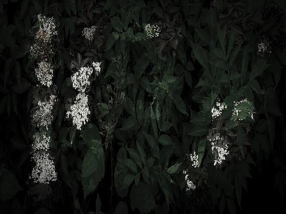 memorial-7