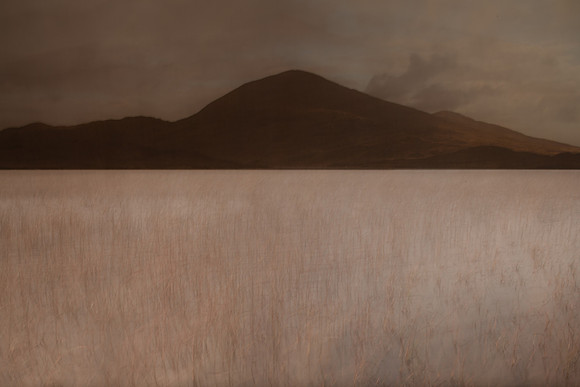 harris #8