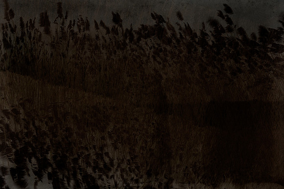 200314 #66-5