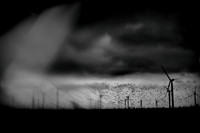 07-11-08 048-2-2